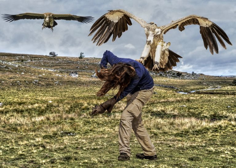 How to Plan a Sky Burial on a Budget