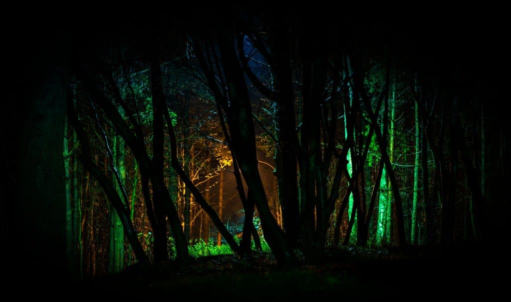 Traditional Summer Camp