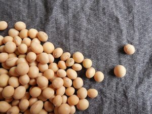 Beginners Guide how to Beans