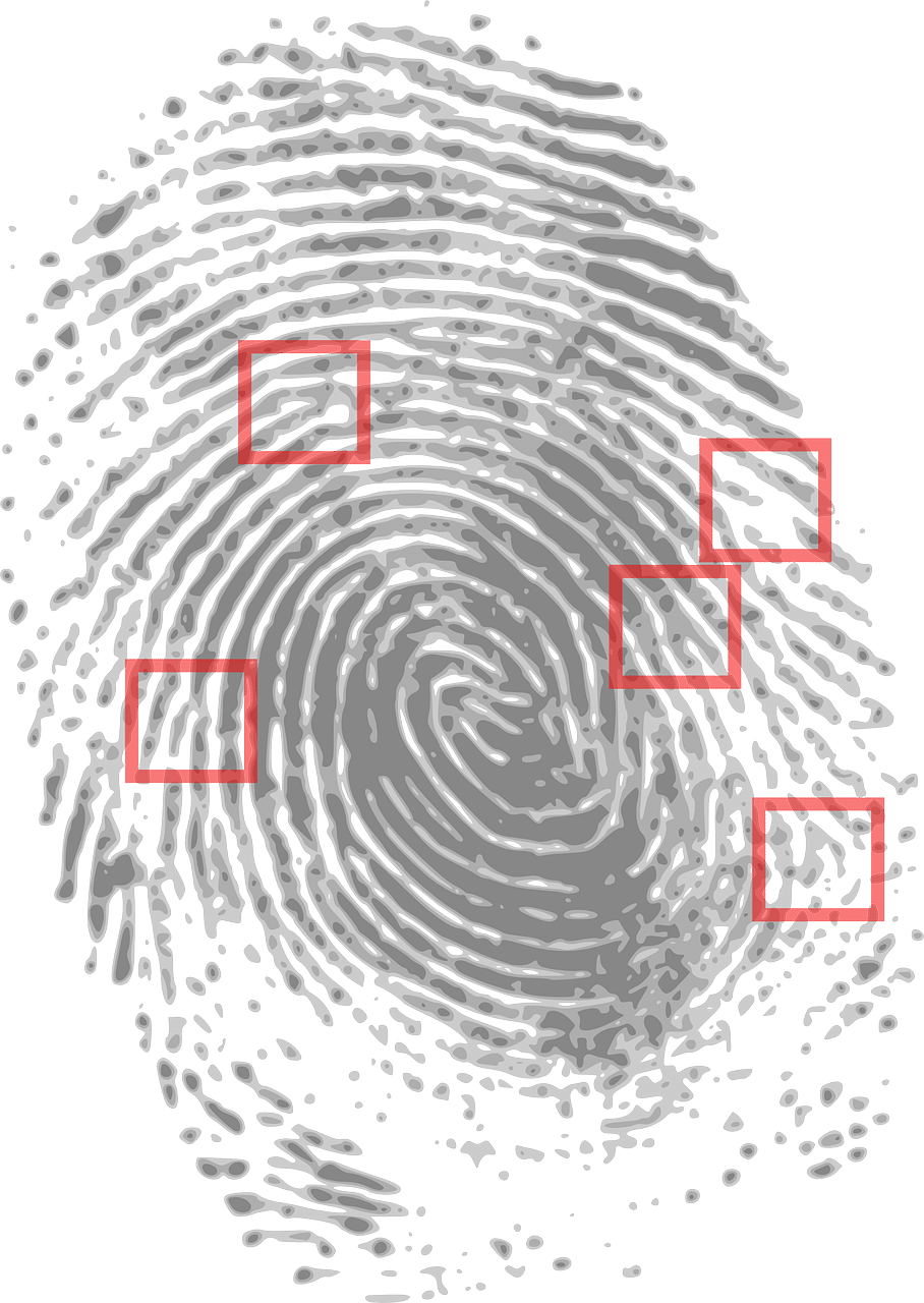 using free public electric scooters