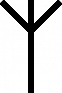 Algiz rune bedeutung