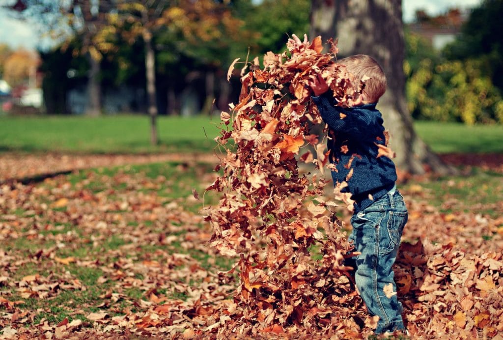 compost piles fall leaves