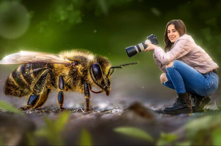 Save The Bees So I Can Keep Using Their Venom To Get High