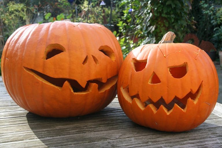 Sex-Positive Pumpkin Carving Ideas That Will Arouse Your Whole Neighborhood