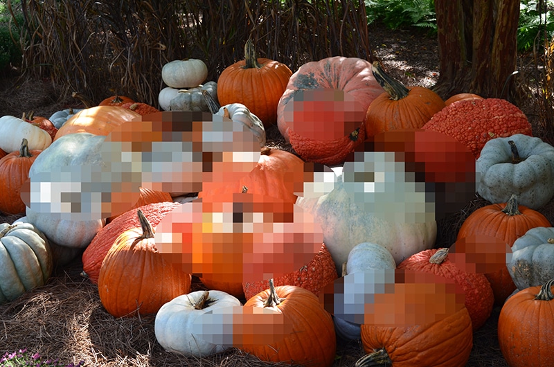 Sex Positive Pumpkin Carving Ideas To Arouse The Whole Neighborhood 