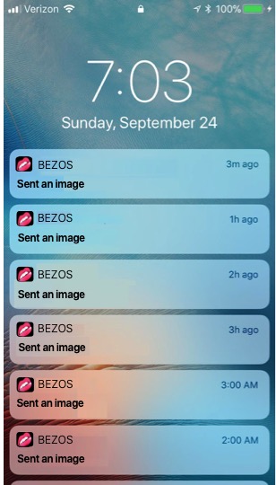 Jeff Bezos Penis