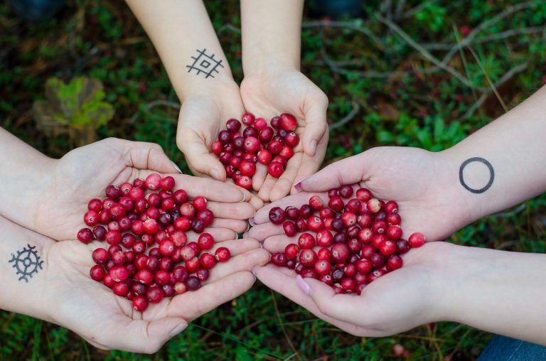 cranberries cure arthritis