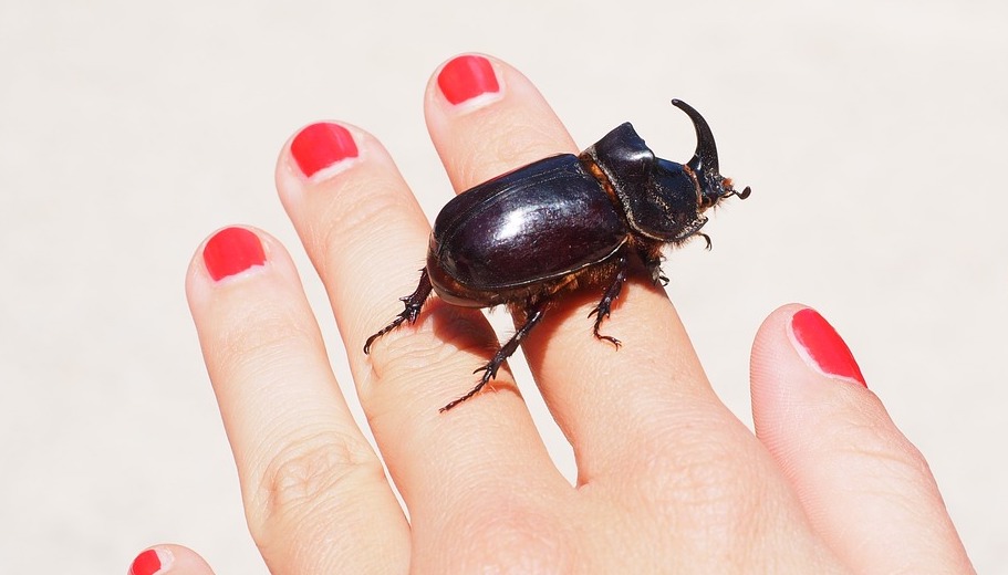 scarabs crawling out of your mouth