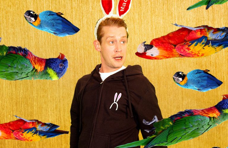 macaulay culkin's medicine cabinet