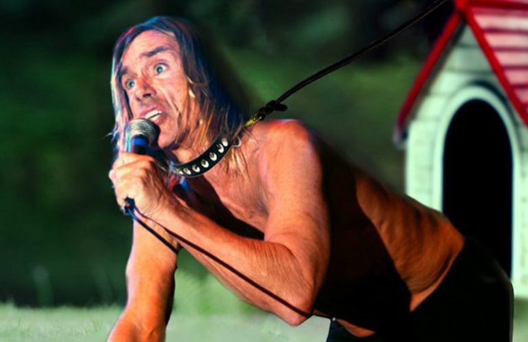I Let Iggy Pop