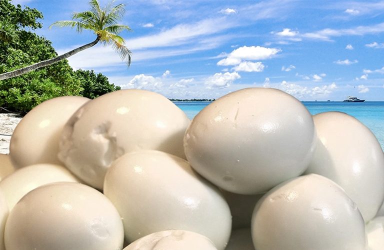 eating eggs on the beach