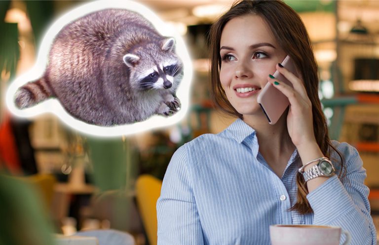 made a raccoon my life coach