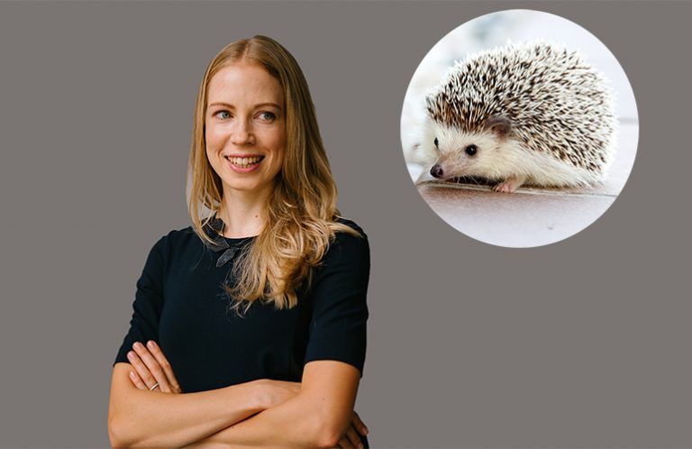 Can Hedgehogs Consent