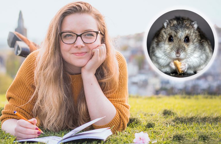 Your Hamsters That Ran Away